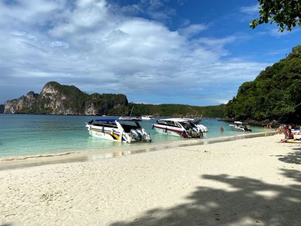 Monkey Beach-3